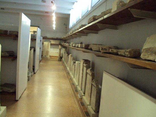Museo Epigráfico